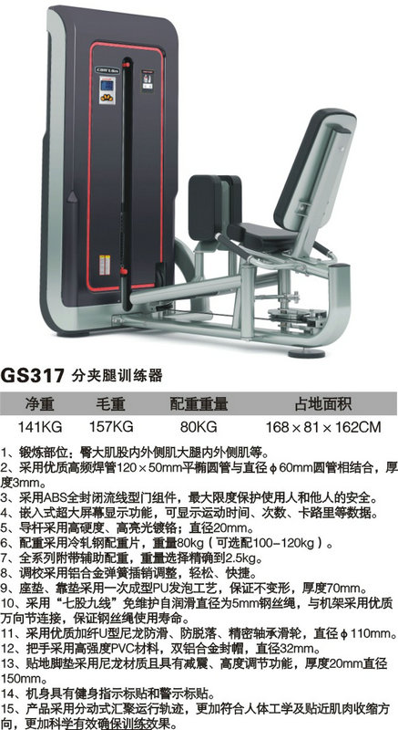 GS317